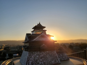  ［大和郡山城と金魚］